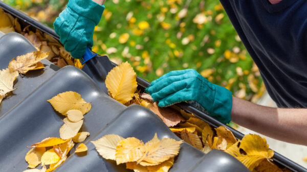 5 Preventive Maintenance Tips for Roof Care