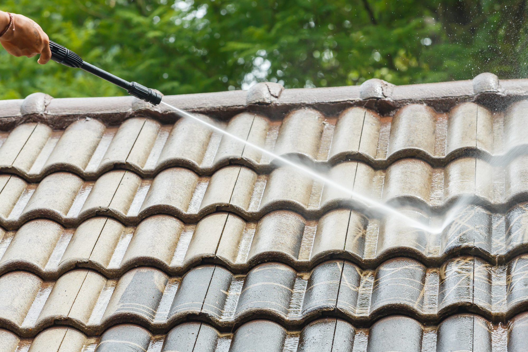 Benefits of a Professional Roof Cleaning